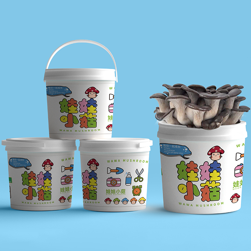 蘑菇种植桶装盆栽食用菌包平袋儿童DIY娃娃小菇趣味阳台种园艺养