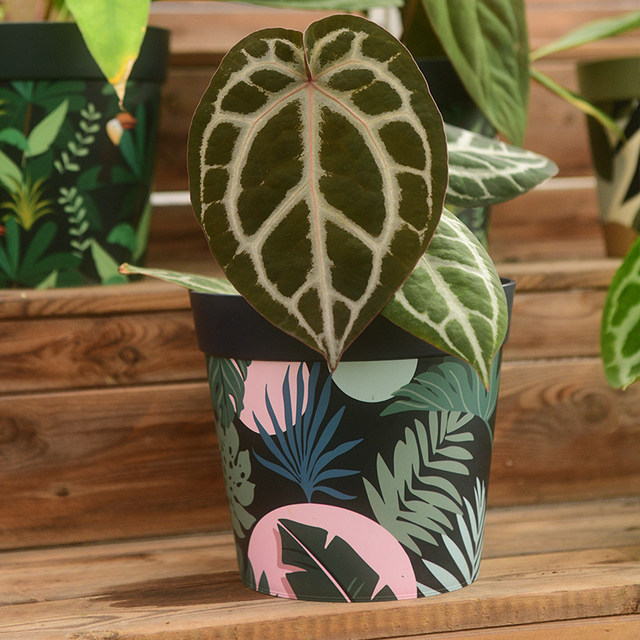 PP resin flowerpot flower letter is produced and durable