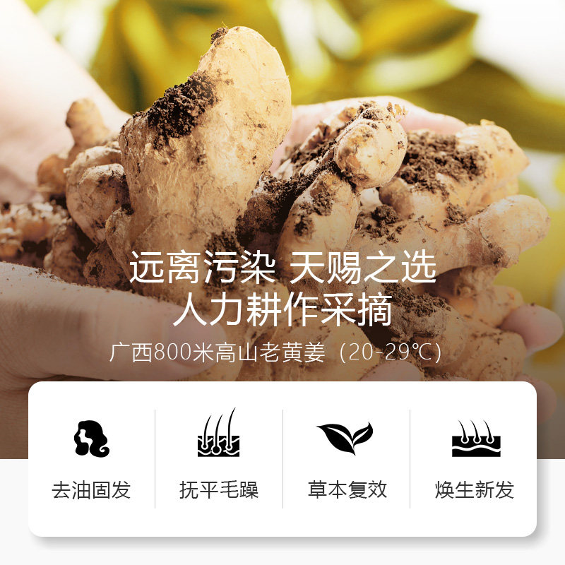 金星直播推荐bodyaid琴叶洗发水 bodyaid洗发水