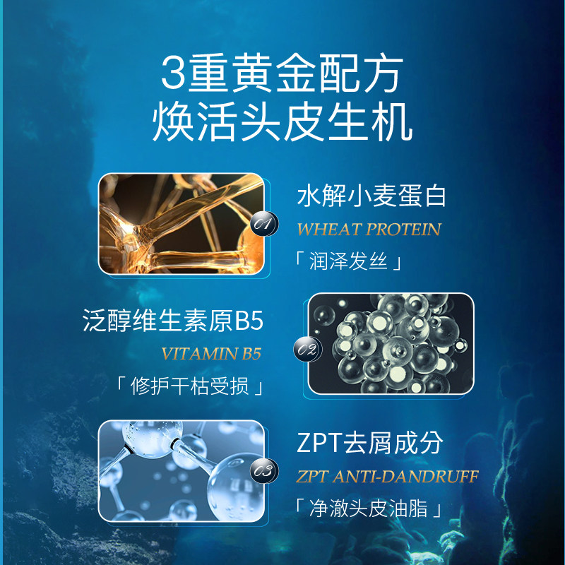 bodyaid博滴弥久留香鱼子酱护发素 bodyaid洗发水