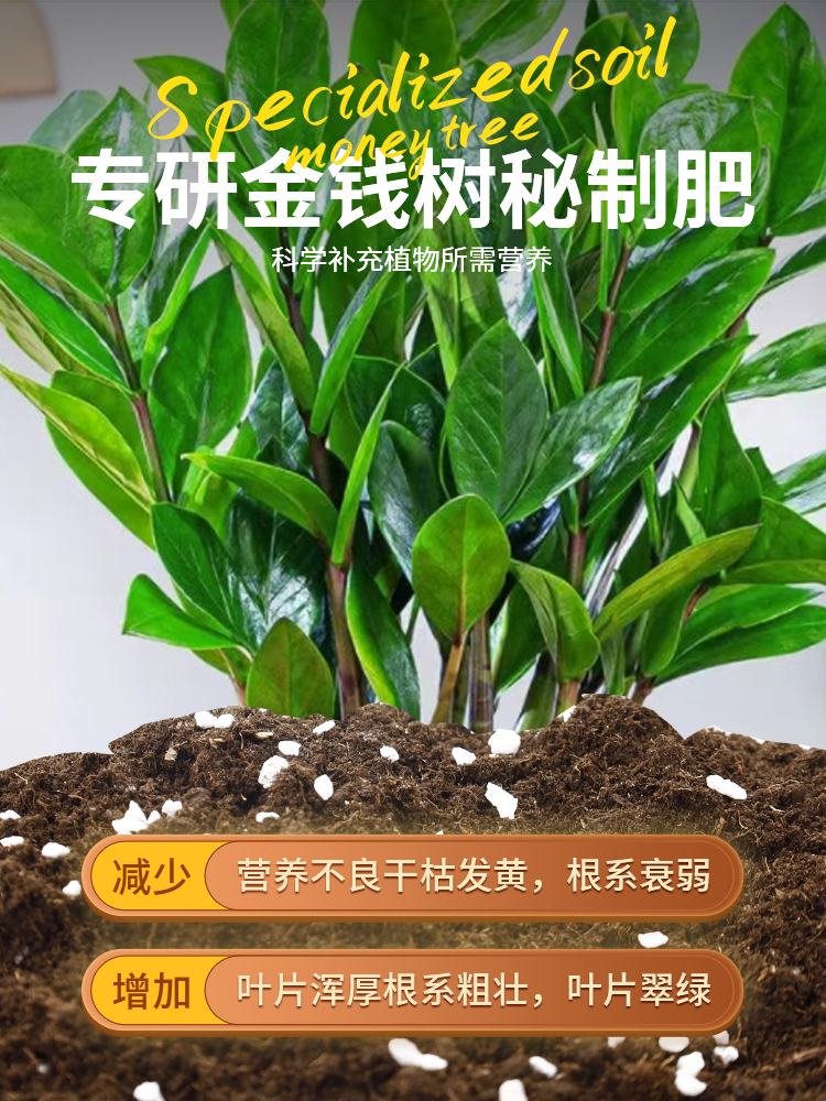 金钱树专用营养土专用肥料金钱树幸福树通用盆栽有机种植土壤花土 - 图3