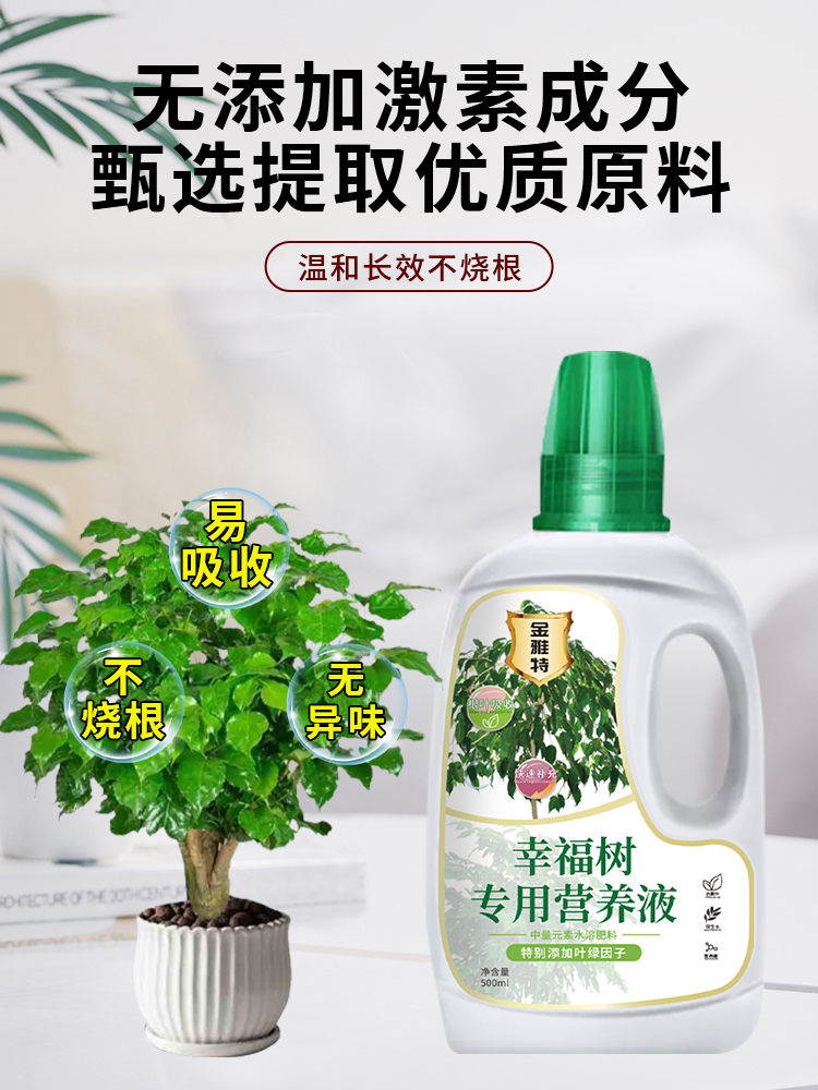 幸福树专用肥料营养液盆栽室内掉叶家用绿植氮磷钾肥复合肥通用型 - 图3