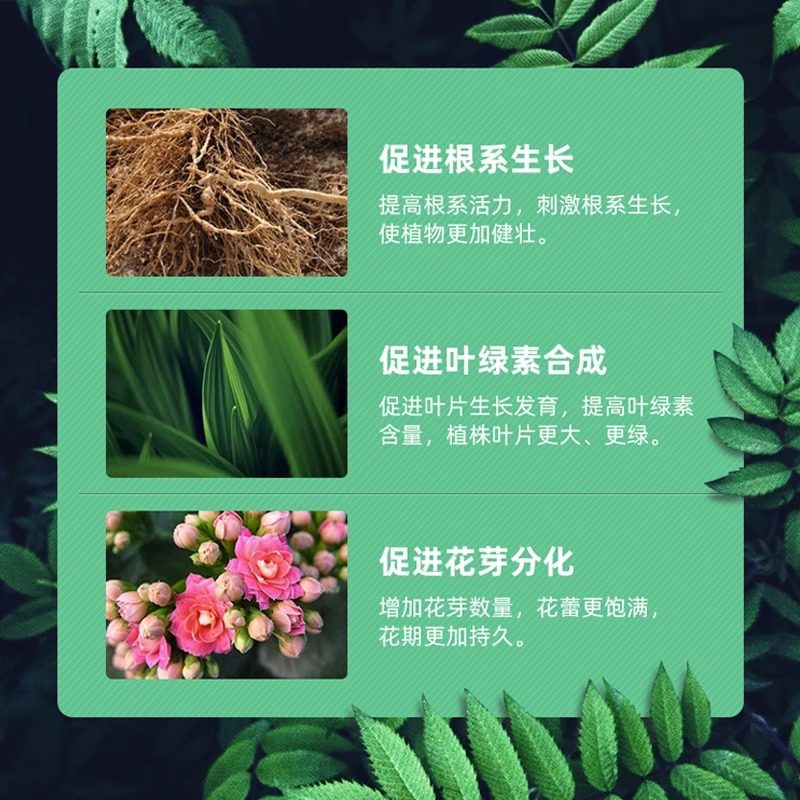 营养液植物通用型花肥绿植花卉发财树富贵竹绿萝水培盆栽家用肥料,淘宝优惠券,粉丝福利购,淘宝优惠卷