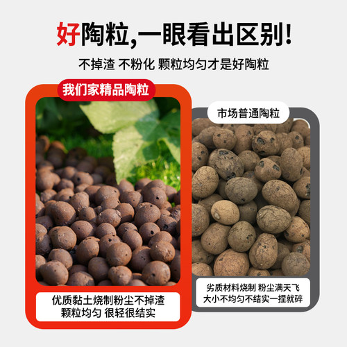 陶粒垫底养花专用多肉土盆栽铺面石花盆水培透气陶土粒回填卫生间 - 图2
