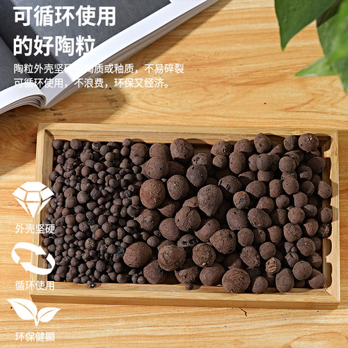 陶粒垫底养花专用多肉土盆栽铺面石花盆水培透气陶土粒回填卫生间 - 图3