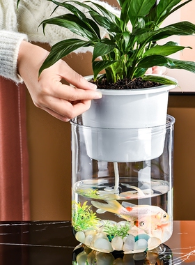 水培植物花盆水养绿萝花瓶花盆大号透明塑料圆球桌面鱼缸器皿容器