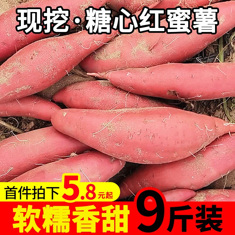 新鲜红心蜜薯板栗小红薯9斤10 探缘番薯