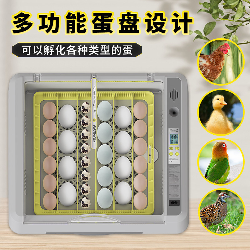 HHD新款孵化器温湿双显家用自动控温智能孵蛋器鹦鹉鸡鸭鸟类鹅蛋,淘宝优惠券,粉丝福利购,淘宝优惠卷