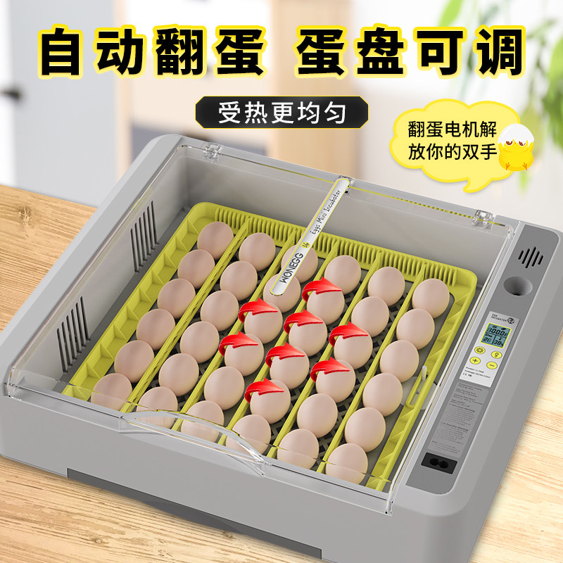 HHD新款孵化器温湿双显家用自动控温智能孵蛋器鹦鹉鸡鸭鸟类鹅蛋,淘宝优惠券,粉丝福利购,淘宝优惠卷