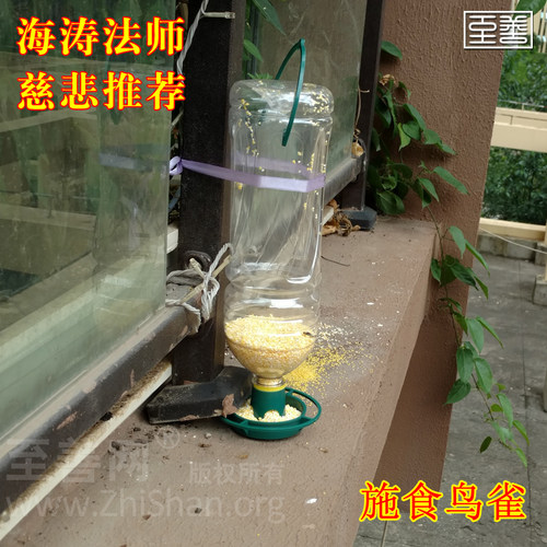 饮料瓶户外喂鸟器喂水喂食器引鸟雀布施食野外阳台庭院防雨防冻 - 图0