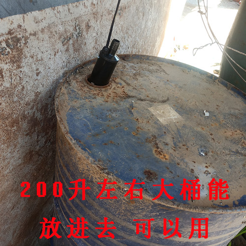 抽油泵12V24v220v柴油电动小型伏抽油神器加油机加油枪水泵油抽子 - 图0
