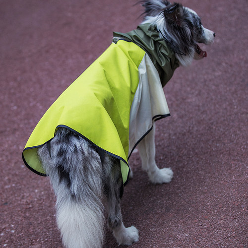 宠物狗狗户外遇水开花雨服小型犬泰迪柯基金毛比熊博美用雨衣雨披-图2