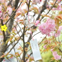 Creative Glass Cherry Blossom Windbell Bedroom Pendant Bell Meditation Meditation Girl Day Style And Teenage Girl Hearts Hanging Accessories