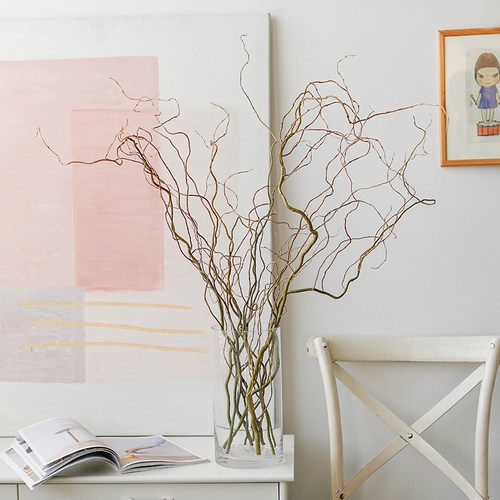 干支龙柳干花树枝高级感侘寂风天然禅意民宿客厅插花干枝装饰摆件 - 图1