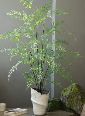 仿真蕨类绿植高级感植物盆栽