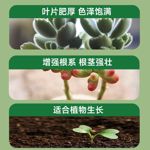 生长魔励 园艺家用多肉植物专用营养液肉肉仙人掌仙人球氮磷钾肥 - 图0
