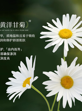 经典老牌德国进口|洋甘菊润唇膏