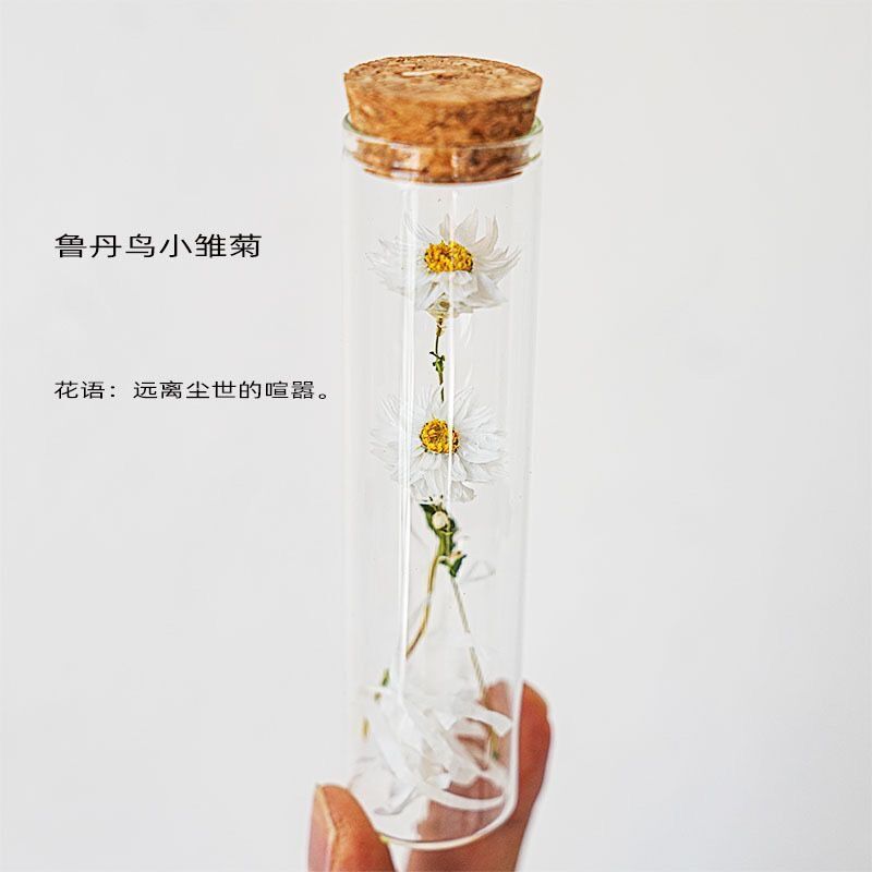 许愿瓶一朵小红花玻璃试管干花束永生纪念标本婚礼毕业节生日礼物-图3