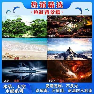 虎壁纸 新人首单立减十元 21年8月 淘宝海外 虎壁纸 新人首单立减十元 21年8月 淘宝海外