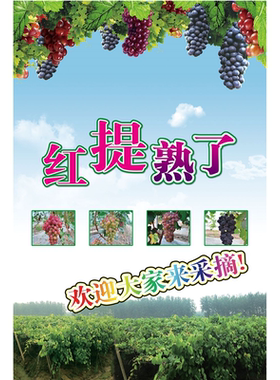 樱桃采摘园广告牌贴画樱桃园农场直销批发零售宣传海报广告布定制