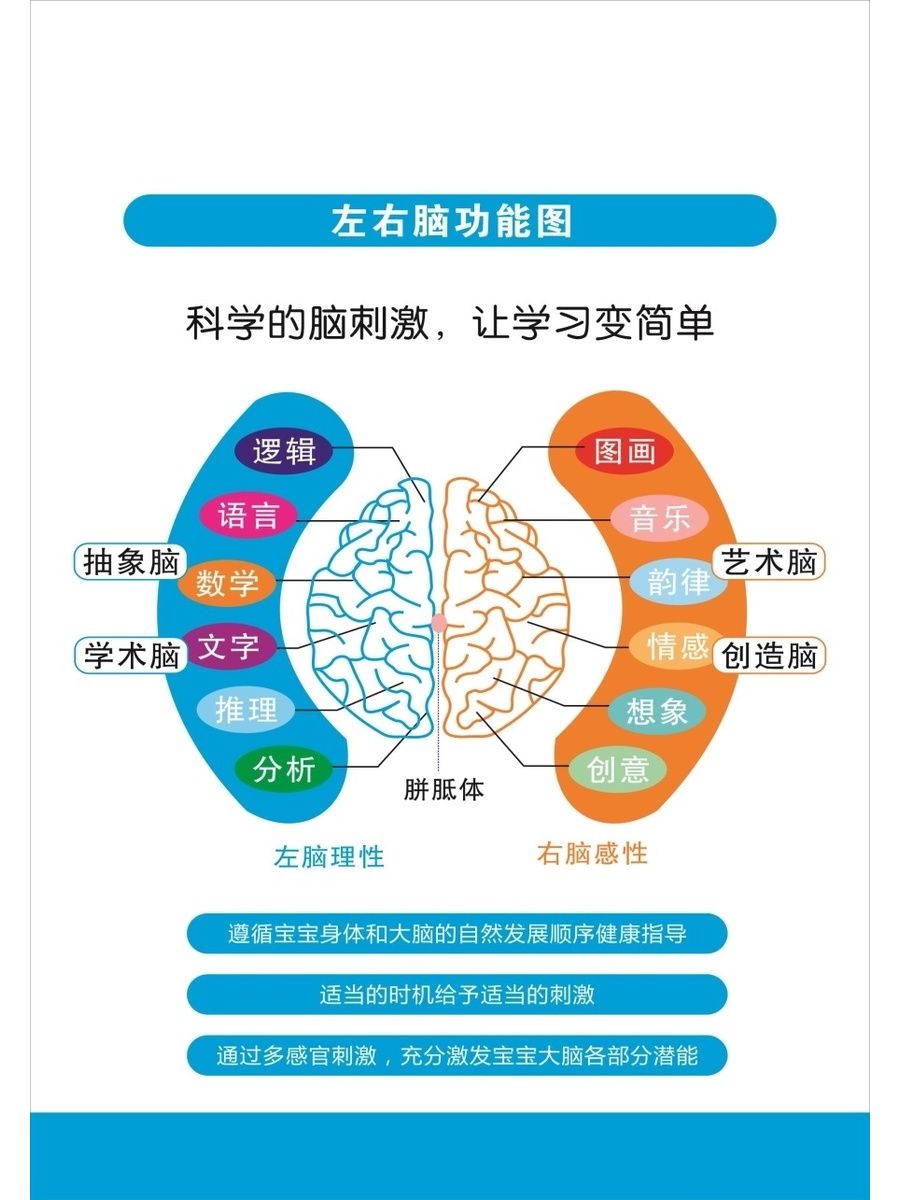 早教教育重要性海报预防学习障碍左右脑功能图人类感觉阶段图墙纸-图2