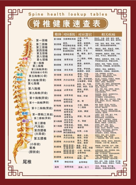 椎体病变膝关节示意图美容院养生海报装饰画贴纸贴画广告画制作