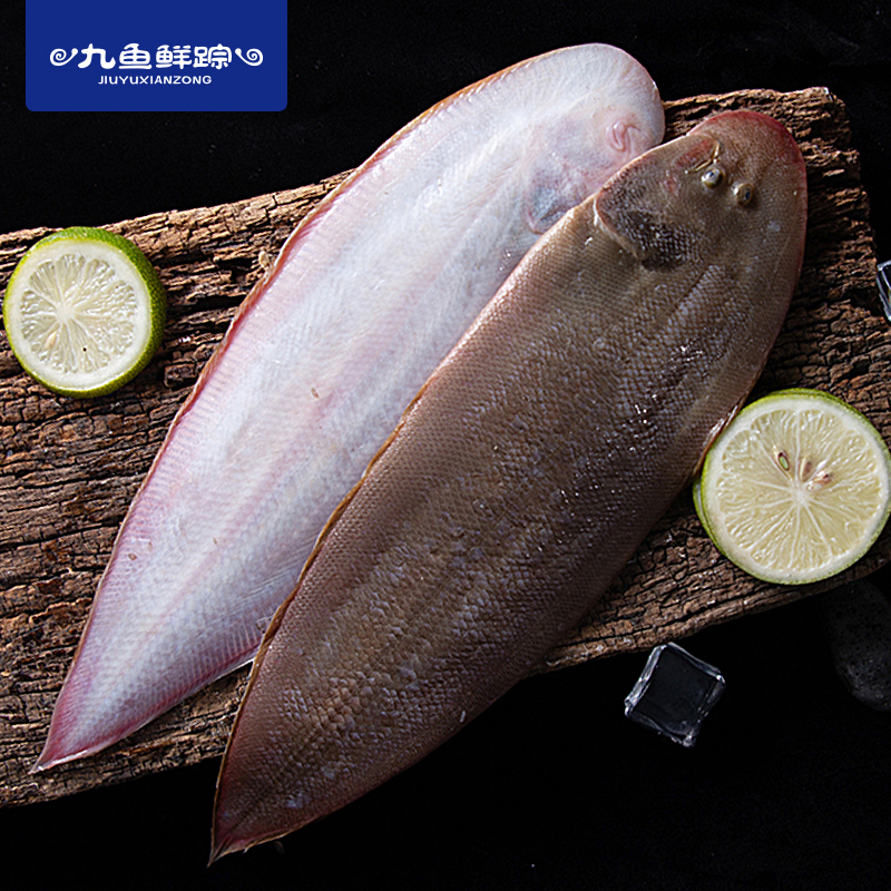 九鱼鲜踪 南海野生龙利鱼 2斤 天猫优惠券折后¥58包邮(¥68-10)