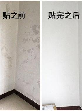 卧室客厅PVC防水防潮可擦洗贴纸
