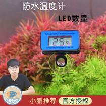 Fish tank thermometer water family special cylinder for diving high precision electronic Xiaopeng says water group