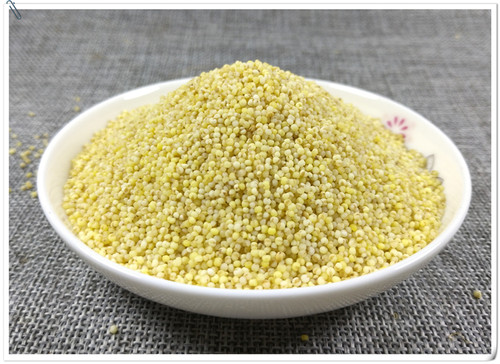 山间谷草 秫米 500g 北秫米 黄米 糯粟 黄糯新货非中药材粉 - 图0