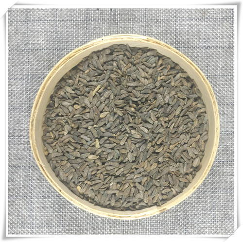 山间谷草 牛蒡子500g牛蒡籽牛子大力子牛籽牛膀子新货非中药材粉 - 图0