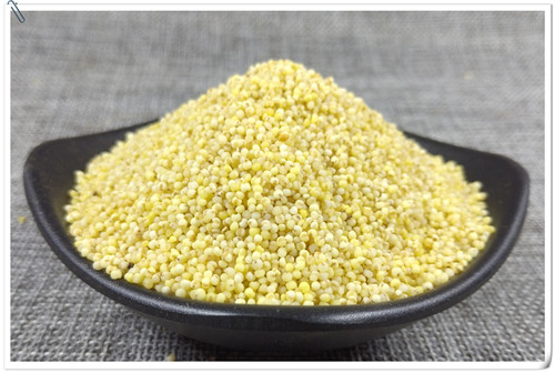 山间谷草 秫米 500g 北秫米 黄米 糯粟 黄糯新货非中药材粉 - 图1