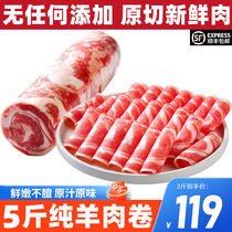 Authentic fresh original cut Inner Mongolia pure mutton roll whole shot pot food ingredients clear and real fat sheep roll fat beef cattle roll commercial