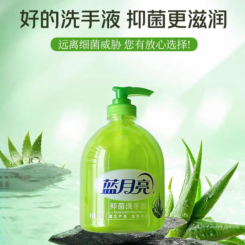 蓝月亮洗手液家庭装杀菌消毒抑菌瓶装500g*2瓶家庭实惠装官方正品