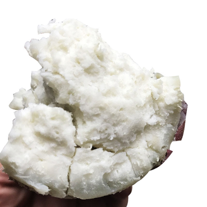 白心新鲜板栗河南特产5斤装10白薯 语稞番薯