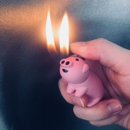 Интернет -знаменитости, маленькие свиньи, творческий двойной пламя -типа, милый фейерверк, личность, гравировка, бесплатный парень