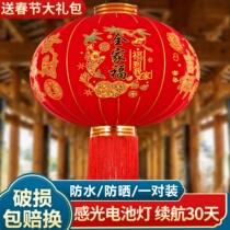 2024 new large red lanterns A pair of Chinese New Year Grand-entrance Palace lantern Balcony Hanging for New Years Outdoor Decorative Chandelia