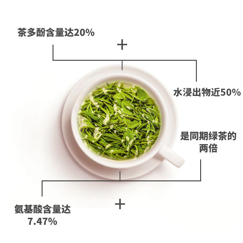 新茶散装茶叶特级古丈毛尖嫩芽湘西 2020 保靖黄金茶有机茶叶绿茶 新茶散装茶叶特级古丈毛尖嫩芽湘西 2020 保靖黄金茶有机茶叶绿茶
