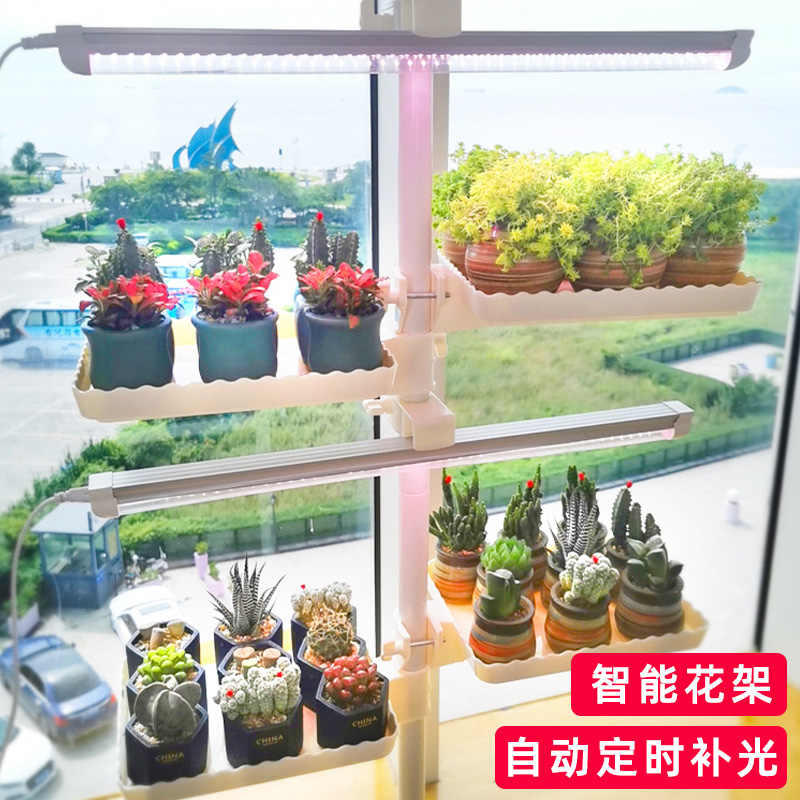 徒花 新人首单立减十元 22年2月 淘宝海外