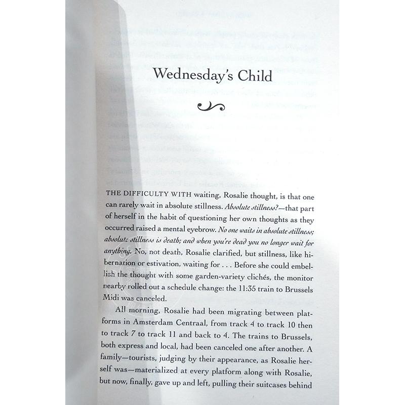 现货 星期三的孩子 美籍华裔女作家 李翊云 Yiyun Li  英文原版 Wednesday’s Child - 图1