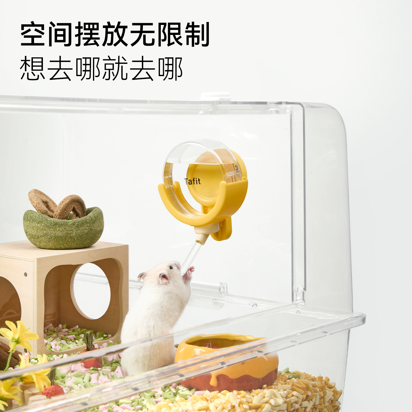 图5