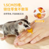 Sugar glider interactive reward snack palm interactive ring