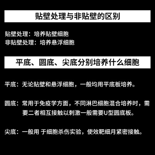 6孔12孔24孔48孔96孔384孔平底细胞培养板 细菌培养板 盖玻片细胞爬片 - 图0