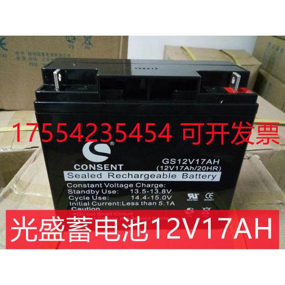 光盛蓄电池GS12V17A12A9A7A24A100A电梯消防主机ups电池6v10a电池 - 图0