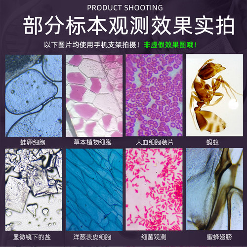 中考同款单目光学显微镜XSP02专业生物教材同步640倍初中初一课本教科书初三学生儿童科学考试专用看细胞家用 - 图2