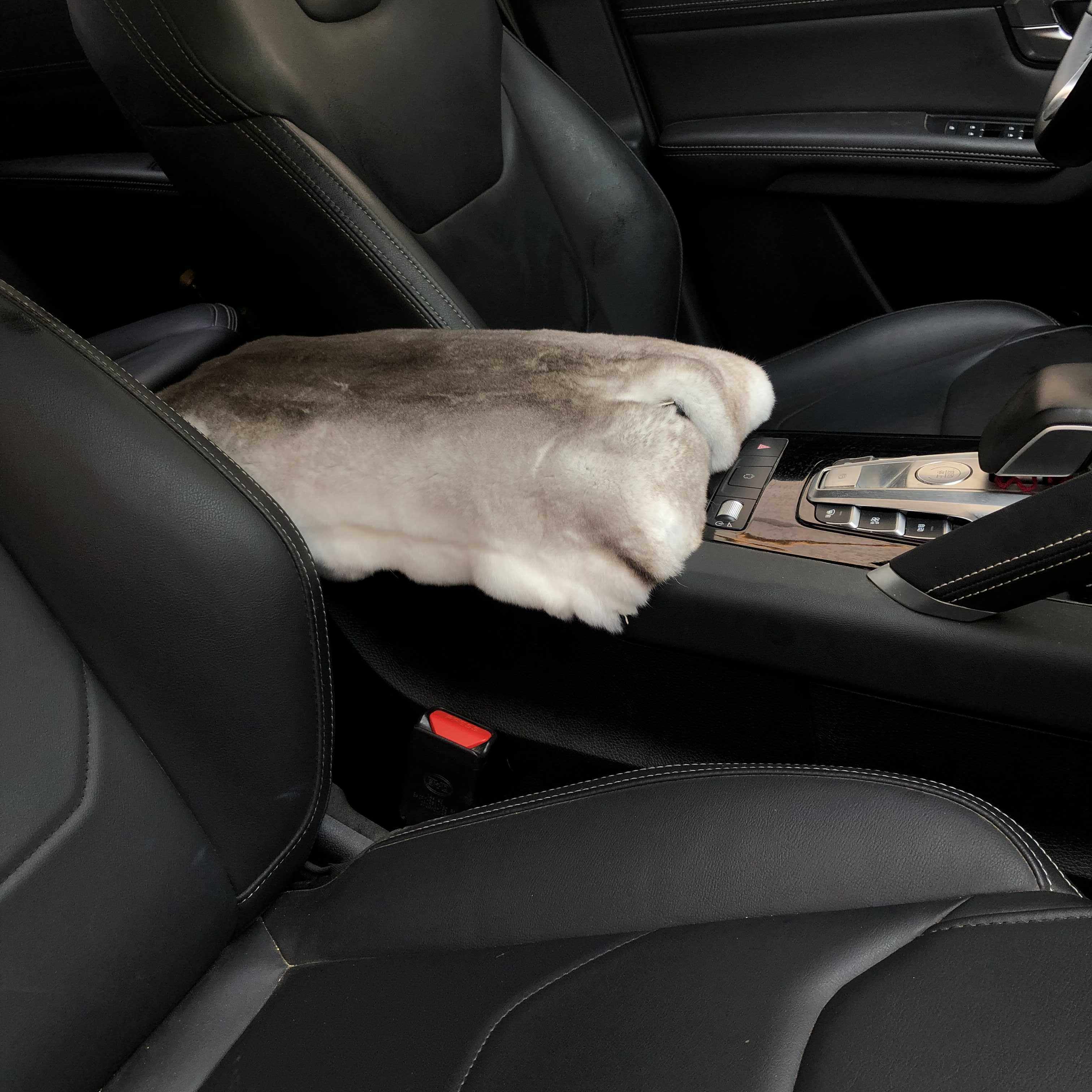 獭兔毛扶手箱垫冬季汽车毛绒真皮中央扶手垫套皮毛一体防护皮草毛,淘宝优惠券,粉丝福利购,淘宝优惠卷