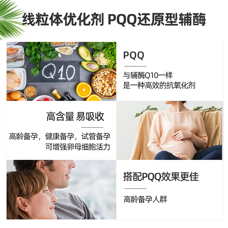 PQQ线粒体脑活素大脑保健品记忆力神经酸补脑修复营养脑神经细胞 - 图1