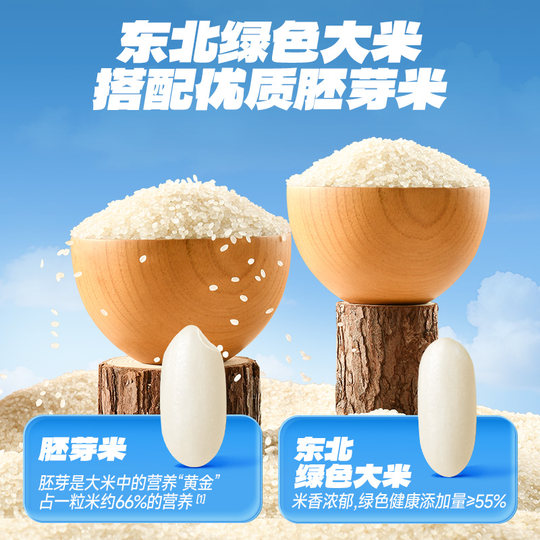 Pastel De Arroz Con Germen Azul Fawn DHA Saludable Sin Aditivos