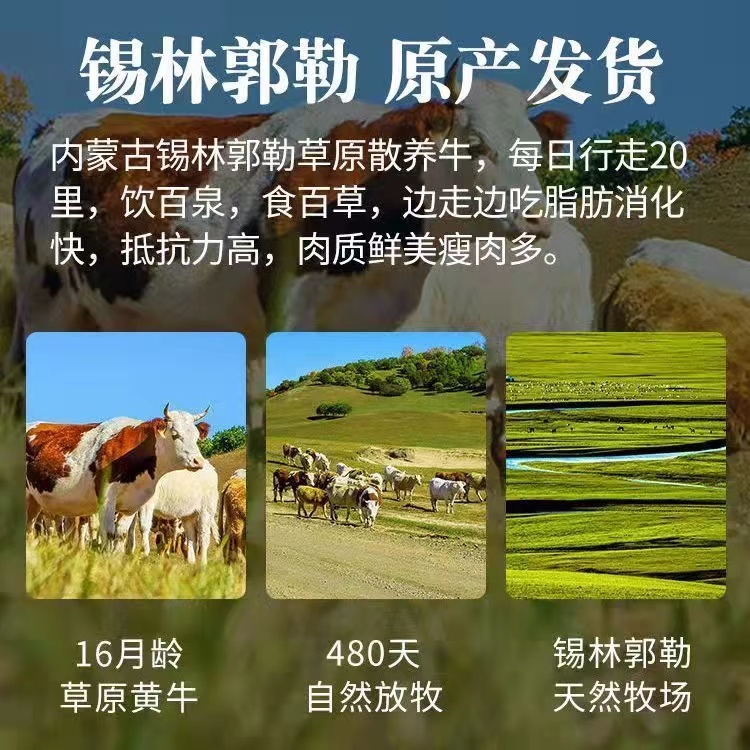 黄膘牛排原切草原黄牛肉牛仔骨内蒙古新鲜四肋牛排骨顺丰空运包邮 - 图1