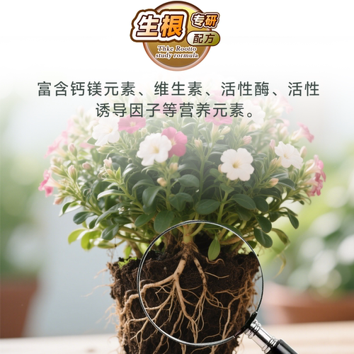护花神生根壮根液肥料促根分化延长花期生根壮苗家用园艺营养液 - 图0